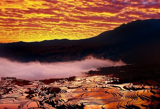 Yuanyang-rice-fields-9