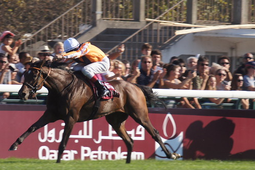 Orange was to be the colour - Danedream wins the 2011 Arc for Germany by CharlesFred