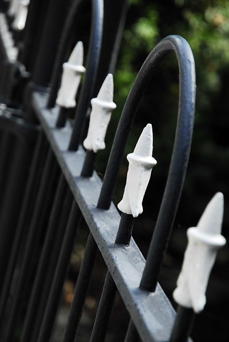 Fence Row