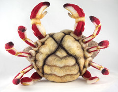 Felt Crab 6