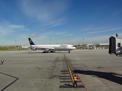 Lufthansa Airbus 340 - 300 YYC to FRA