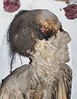 Jedediah Gainer, Man at Attention, Digital Colour Photograph, The Capuchin Catacombs of Palermo