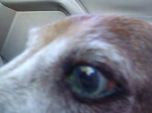 riley's radioactive eye