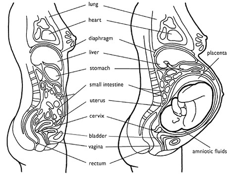 pregnancy-period drawing