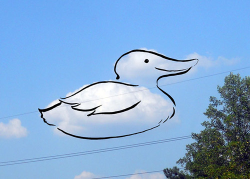 Cloud Drawing - Duck