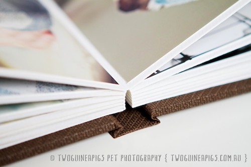 Little Tomes for Pets by by twoguineapigs pet photography