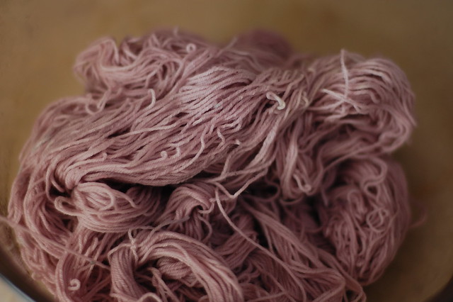 red cabbage dye