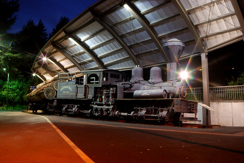 World Forestry Center train at night by Dornoff Photography