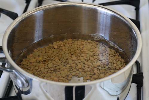 Cook the lentils