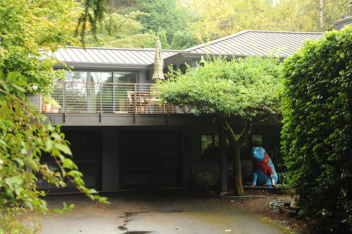 Loving giant blue pig waits for you at home, driveway, Seattle, Washington, USA by Wonderlane