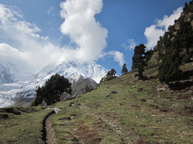 The trail to Rakaposhi high camp.