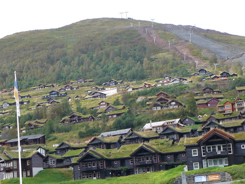 Green Roof Ski Resort