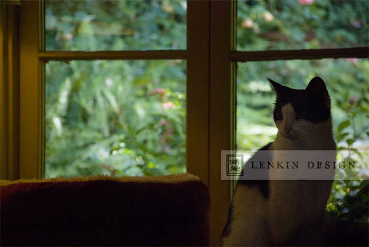 Lenkin-Bessie-09.13.11-019web