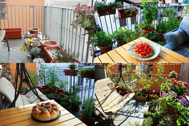 oto orto sul terrazzo con erbe aromatiche e pomodori