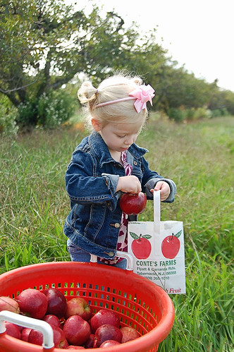 064 Mckenzie picking apples