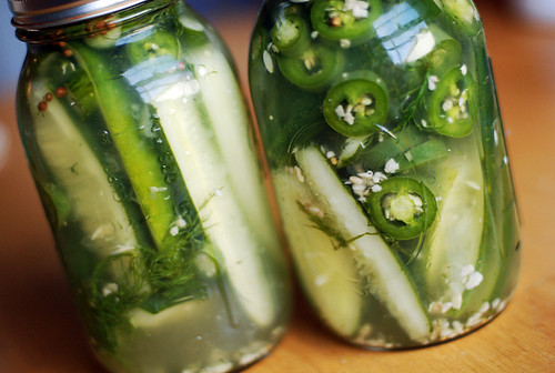 spicy refrigerator pickles!