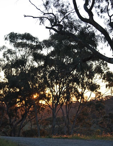 Clare Valley Sunset by HeatherW