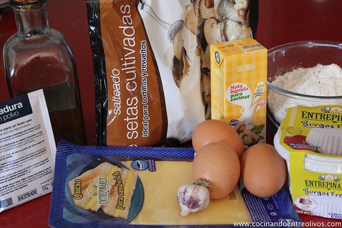 Pastel de hongos en canelón de queso gratinado (1)