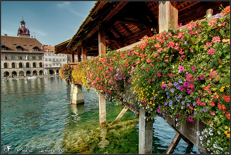 Suiza - Pueblos con encanto Lucerna - Flores en Kapellbrücke