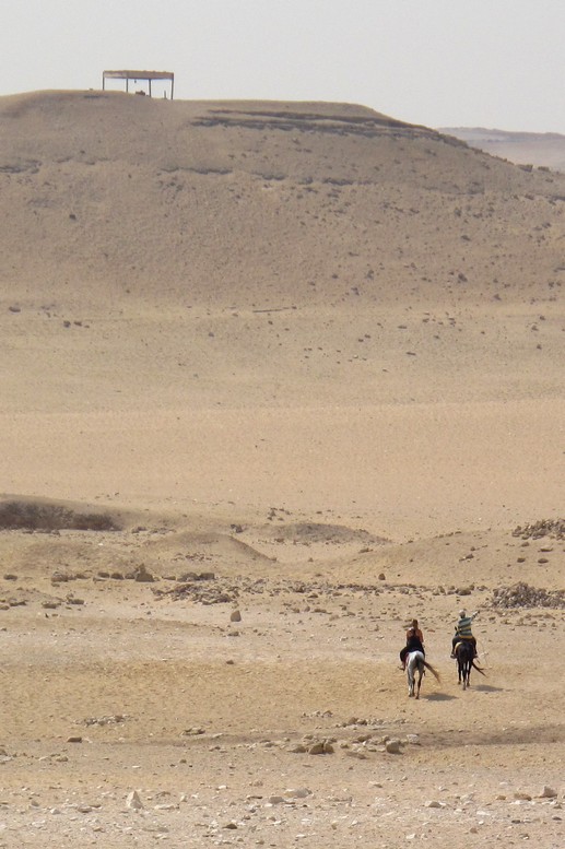 Desert Horseback Riding