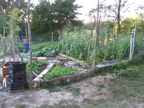 garden, sept 2011 001
