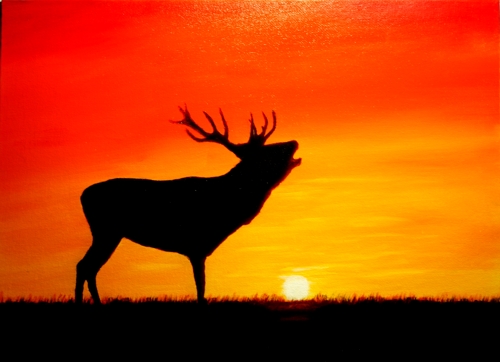 Elk at sunset by Sid's art