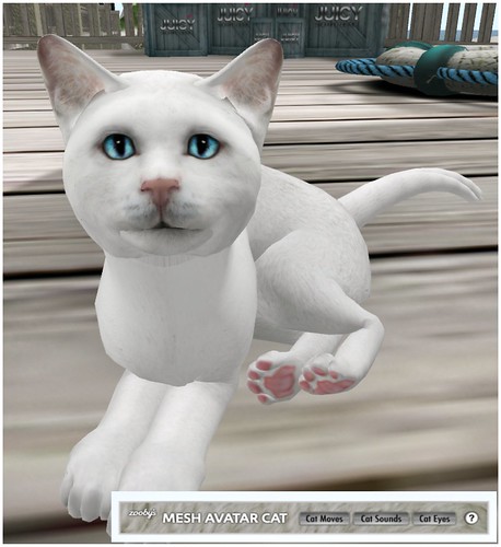 Zooby Mesh Cat Avatar