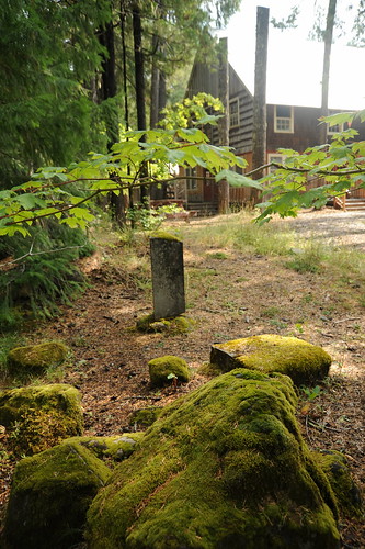 Moss covered memorial, lodge, tree branch, Breitenbush Hot Springs, Breitenbush, Oregon, USA by Wonderlane