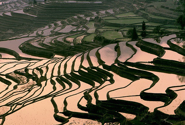 Yuanyang-rice-fields-3-1