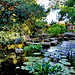 Zilker Botanical Gardens, Austin, Texas