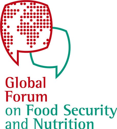 The Food Security and Nutrition Forum (17)