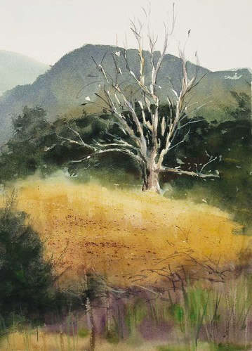 Paramount-Ranch-Dead-Tree by Spencer Mackay