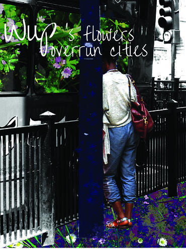 Wup's flowers overrun cities by what's up_wup