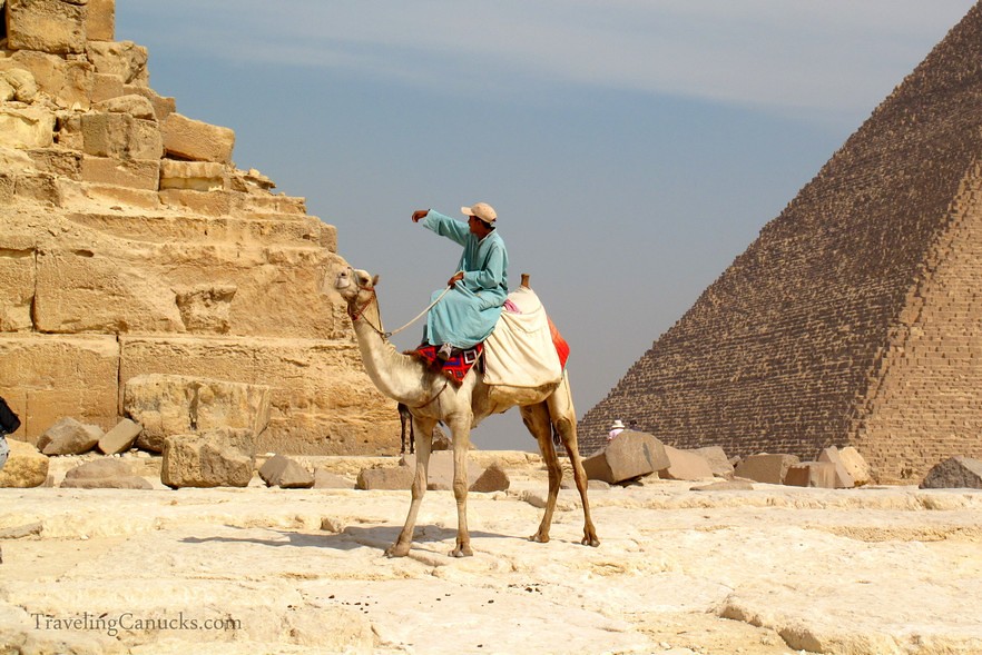 Camel Guide at the Pyramids
