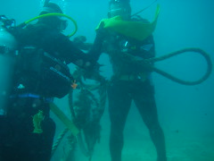 小琉球志工隊在海中清除廢棄漁網，小琉球志工隊提供。