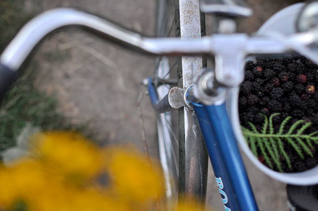 berries-and-bicycle