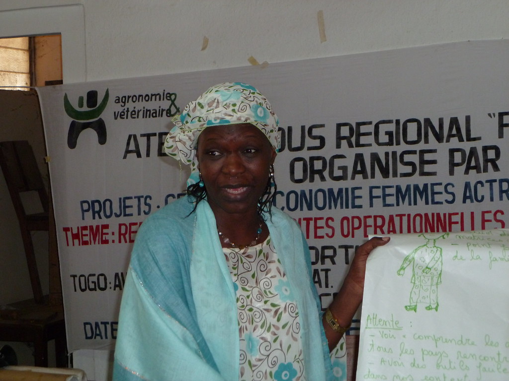 Particpante Nigérienne - Atelier GENRE Kara Togo