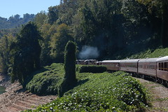 Great Smoky Mountains Railroad-47