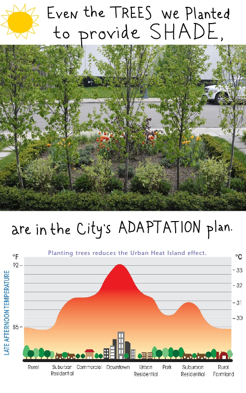 Even the trees we planted to provide shade are in the city's adaptation plan.