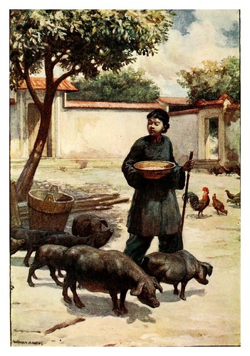 006-Un patio-China 1910- Norman H. Hardy