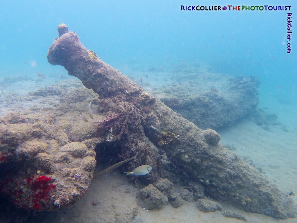 A cannon barrel resting on a wall underwater, in a Caribbean harbor
