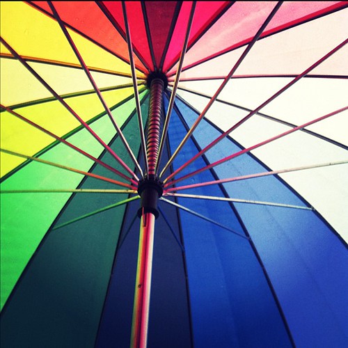 Under the rainbow sun