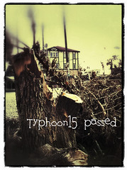 typhoon15 passed