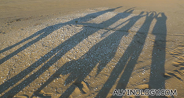Our long shadows cast on the midden