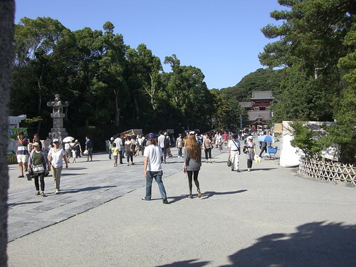 Kamakura snap 15 September 19