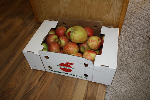 20 lbs of Honeycrisp Apples