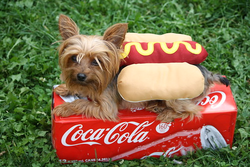 Coca Cola .. and one hot dog..