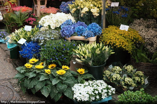 Amsterdam - Singel Flower Market