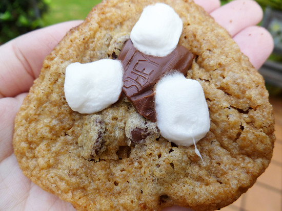 09 Sept 27 - Smores cookies (2)