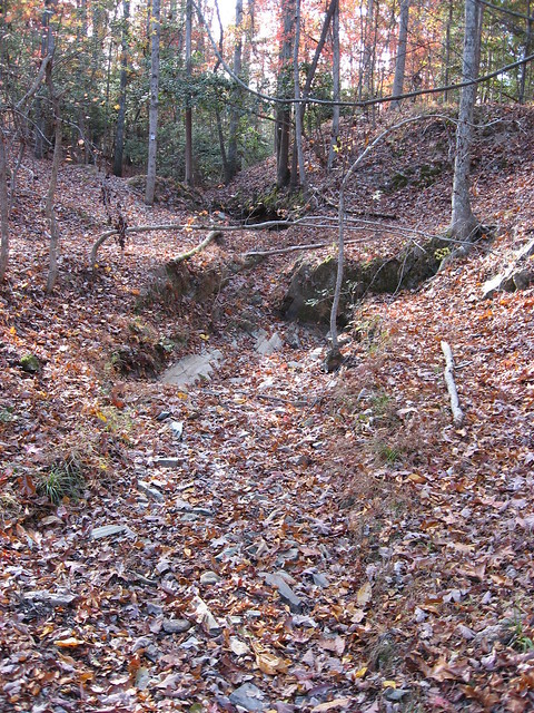 Gully down to bedrock, Morrow Mountains State Park, North Carolina (photo by A. Jefferson)